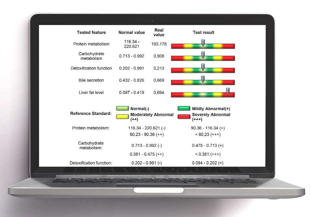 Bioscan: Karaciğer - Kolon Raporu - Ellive | Dr. Elçin Yıldıran Mizrahi