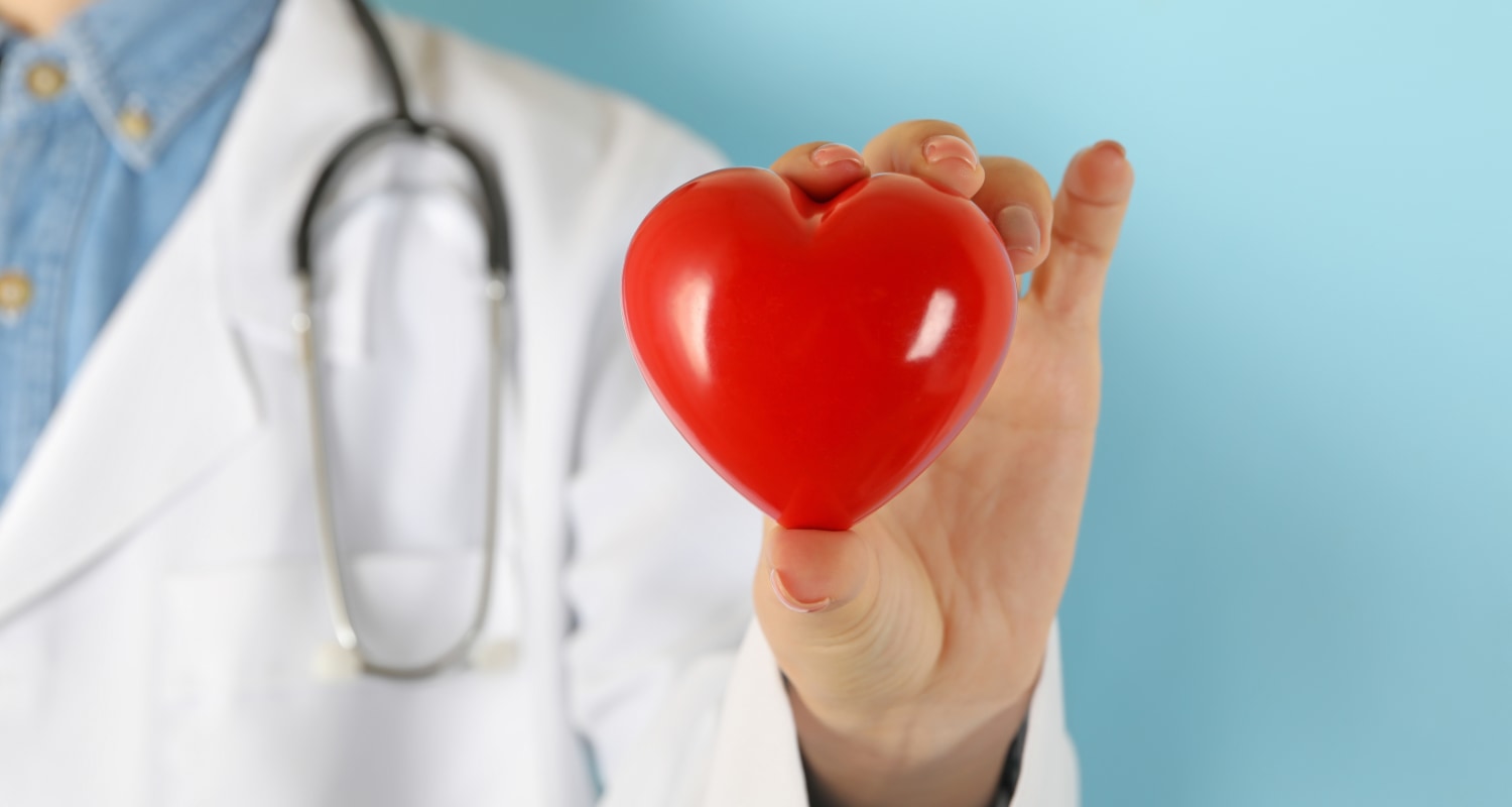 Check Up Programlarımız  - Ellive | Dr. Elçin Yıldıran Mizrahi